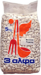3αλφα Beans Gluten-Free 5000gr