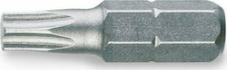 Witte Μύτη Κατσαβιδιού Torx με Μέγεθος T20