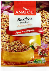 Anatoli Mahleb 10gr