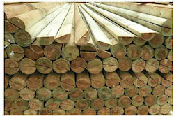 Ecoshadow Holz für Gartenboden aus Holz 6x6cm 1Stück Ecoshadow Holz für Gartenboden aus Holz 6x6cm 1Stück