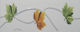 Wall Interior Gloss Ceramic Tile 20x8cm White