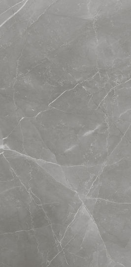 Winasa Ceramica Placă Porțelanat Lucios 120x60cm Gri