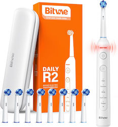 Bitvae Daily R2