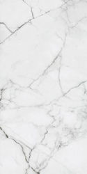 Rak Ceramics 2501.3404 Πλακάκι Δαπέδου Εξωτερικού Χώρου Πορσελανάτο Γυαλιστερό 120x60cm Λευκό