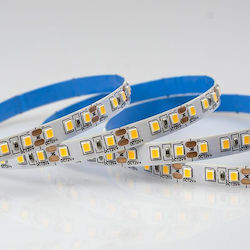 Eurolamp Bandă LED Alimentare 12V cu Lumină Alb Cald Lungime 5m SMD2835