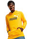 Big Logo Sweatshirt mit Kapuze Gelb