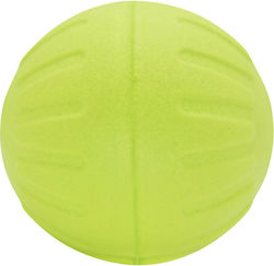 Nunbell Pet Ball Dog Toy Green