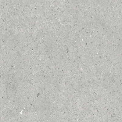 Ravenna Elio Placă Podea Interior din Granit Mat 60x60cm Gri