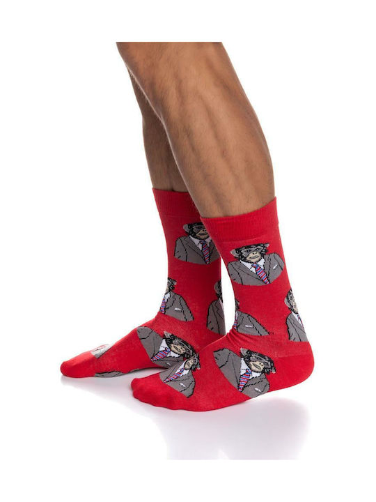 Inizio Ανδρικές Κάλτσες με Σχέδια Κόκκινες