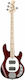 Sterling by Music Man Elektrischer Bass