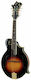 The Loar Слушалка Мандолина с Плоско Тяло