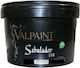 Valpaint Χρωστική Μπεζ 1lt 40gr