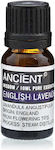 Ancient Wisdom Essential Oil Lavender 10ml