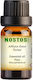 Nostos Pure Αιθέριο Έλαιο Πεύκο 100ml