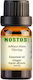 Nostos Pure Αιθέριο Έλαιο Ginger 50ml