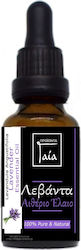 Gaia Products Ätherisches Öl Lavendel mit Tropfenzähler 10ml