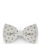 Stefano Mario Fliege Gray