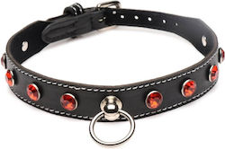 Strict Leather Collar in Red Color