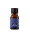 Sanko Scent Αρωματικό Χώρου 90778 10ml