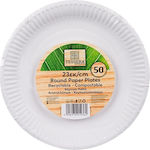 Intertan Disposable Plate 23x23cm 50Stück