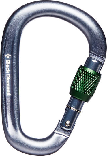 Black Diamond Screwgate Sicherheitskarabiner 1Stück