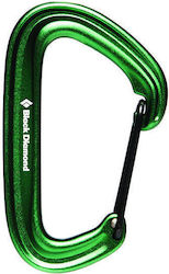 Black Diamond Litewire Hilfskarabiner 1Stück Green