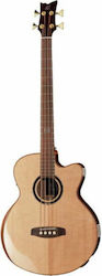 Ortega Bas Electroacustic