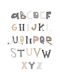 Walls Educational Kids Poster 20x30cm