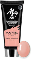 Molly Lac Musk Ροζ 30ml Molly Lac Musk Ροζ 30ml