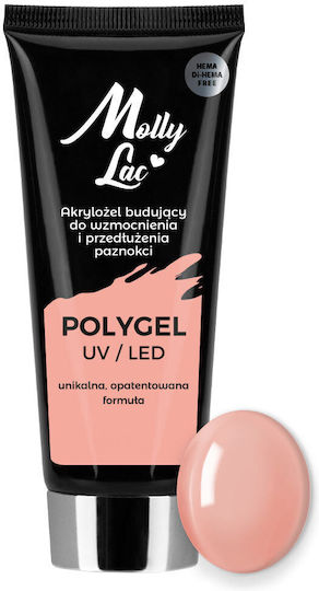 Molly Lac Musk Acrygel Gel pentru Unghii Roz 30ml
