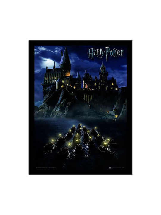 Pyramid International Harry Potter 30x40cm