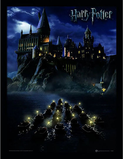 Pyramid International Harry Potter 30x40cm