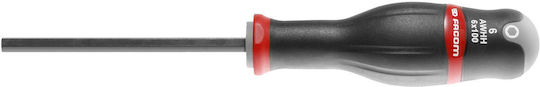 Facom Screwdriver Allen