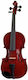 Thomann Classic Violinset 3/4 Βιολί Μαύρο