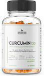 Supplement Needs Curcumin Turmeric 120 caps