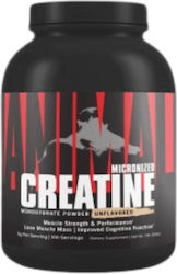 Animal Micronized Creatine Monohydrate 500gr Animal Micronized Creatine Monohydrate 500gr