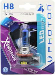 Photon Diamond Vision Lamp H8 Xenon Cold White Photon Diamond Vision Lamp H8 Xenon Cold White