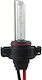 Lamps Car H16 Xenon 12V 1pcs