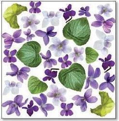 Tissue paper Decoupage