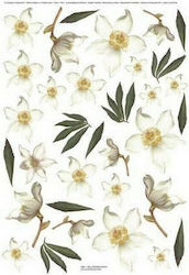 Sospeso Trasparente Χαρτί Decoupage