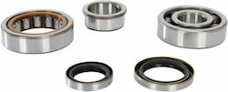 Pro-X Crankshaft Bearing