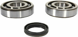 Pro-X Crankshaft Bearing