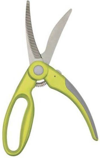 Ibili Schere Geflügel aus Edelstahl Grün