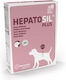 Pharmadiet Hepatosil Plus Συμπλήρωμα Διατροφής ...