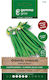 Gemma Seeds Bean Tsaouli Green 10gr