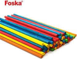 Foska Craft Sticks 100pcs
