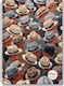 Shape Notebooks Spiral Heft Geregelt A4 90 Blätter 3 Themen 1Stück (Μverschiedene Designs/Farben)