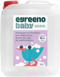 Egreeno Καθαριστικό Υγρό Γενικής Χρήσης 5lt Egreeno Καθαριστικό Υγρό Γενικής Χρήσης 5lt
