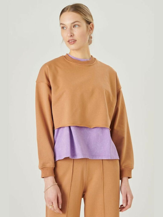 24 Colours Women's Crop Top Cotton Long Sleeve Brown