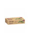 Rosewood CAT Cat Toy Rod with Catnip